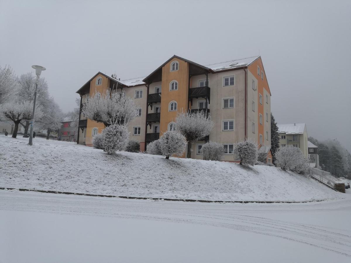 Apartment Lipno Sumava Pro 8 Hostu 리프노나드비타보브 외부 사진